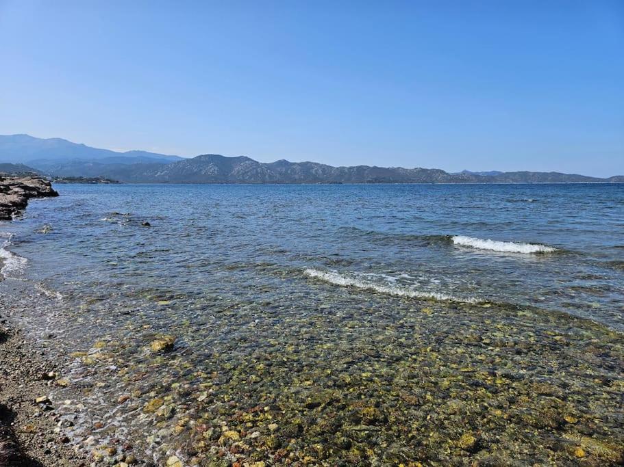 Mare Vista By Monarca