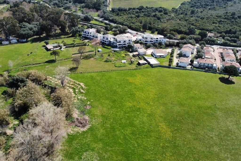 Mare Vista By Monarca *